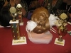 second-place-ladies-bridal