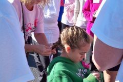 breast_cancer_walk_10_11_8