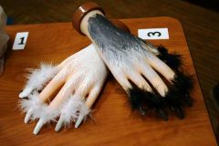 danielles-nails