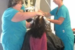 1_strand-college-of-hair-design-student-salon-9