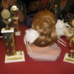 Strand College of Hair Design students compete in ACSP Competition 2011